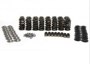 BTR .650" LIFT MAX PRESSURE SPRING KIT WITH TITANIUM RETAINERS (for ROLLER ROCKERS) SK002