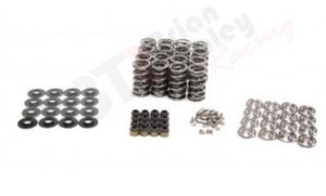 SK001TI .660" Lift BTR Platinum LS Spring Kit; Titanium Ret., .505" ID .060" Thick Loc., Brown/Black Seals