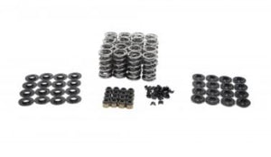 SK001 .660" Lift BTR Platinum LS Spring Kit; Steel Ret., .505" ID .060" Thick Loc., Black Seals