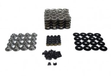 BTR SK427 SPRING KIT - SOLID ROLLER LSx - SK427/500